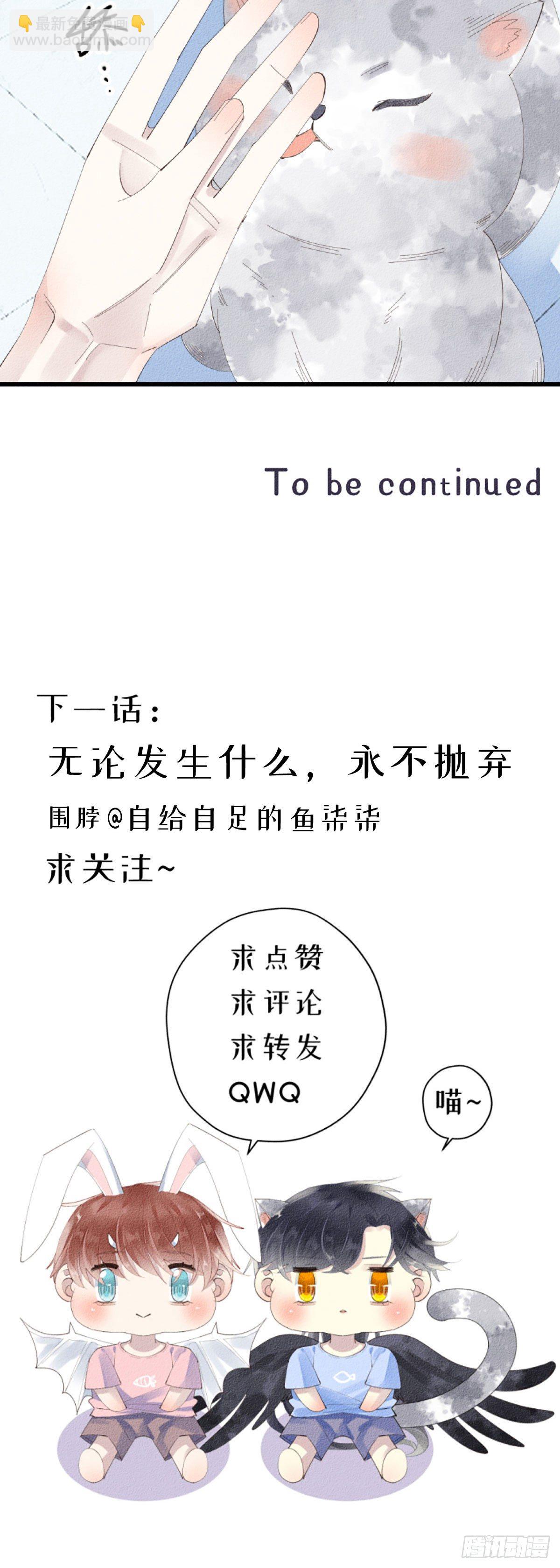 5.终于把小猫咪拐回家了！7