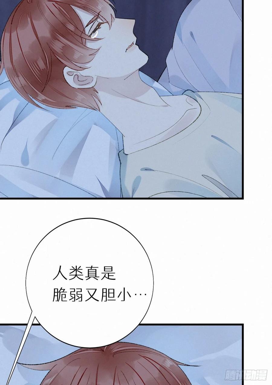 63.人类真是胆小又脆弱38