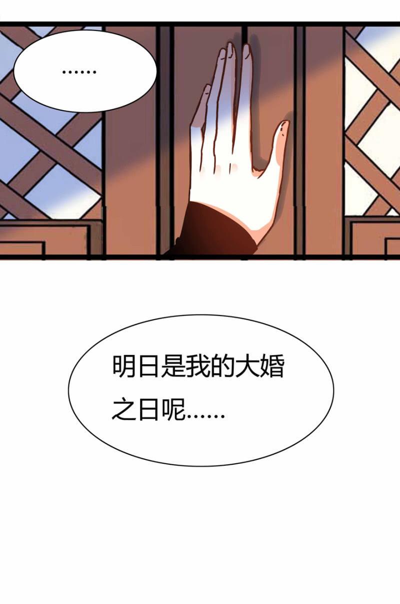 惊鸿一瞥11