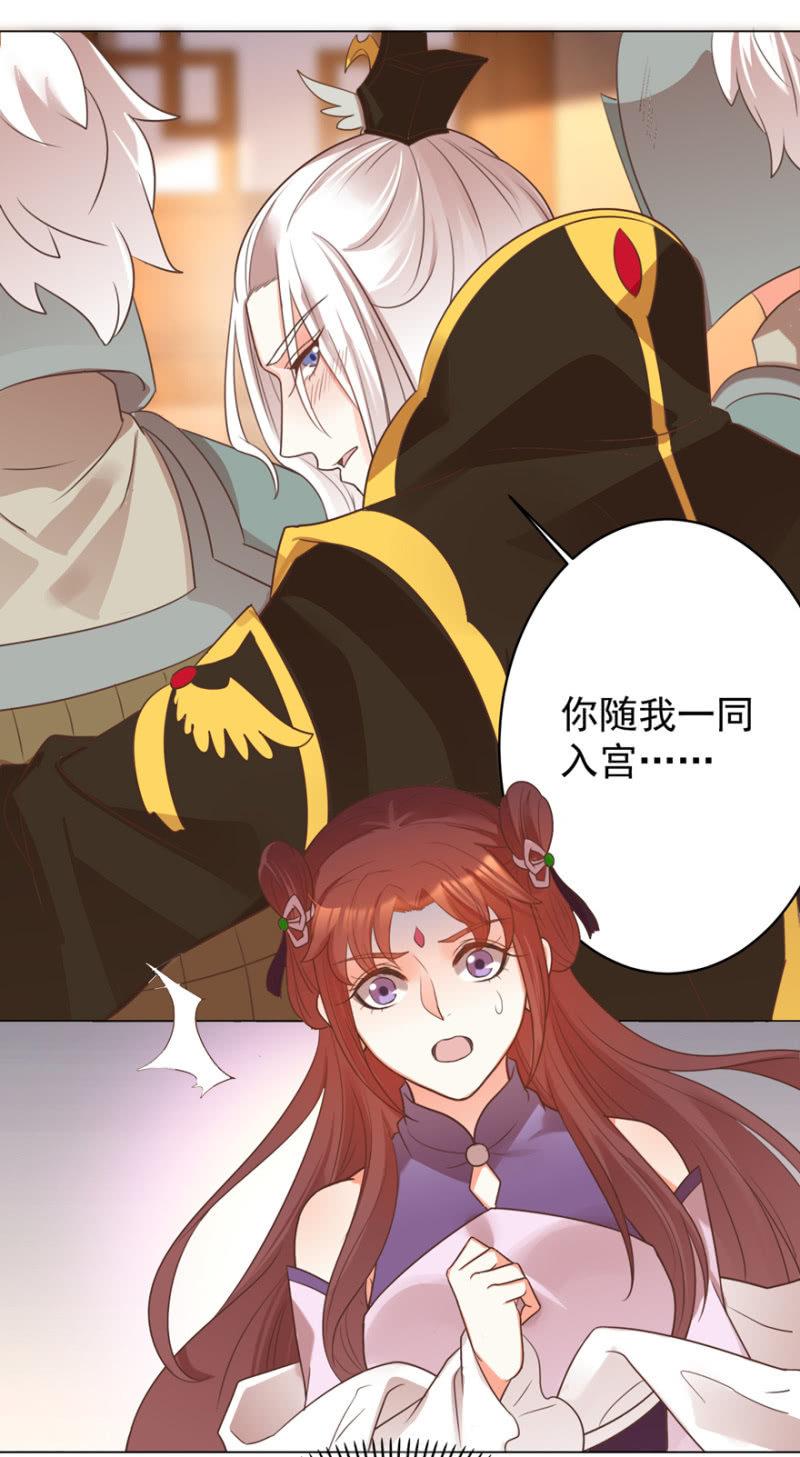 鸢儿进宫37