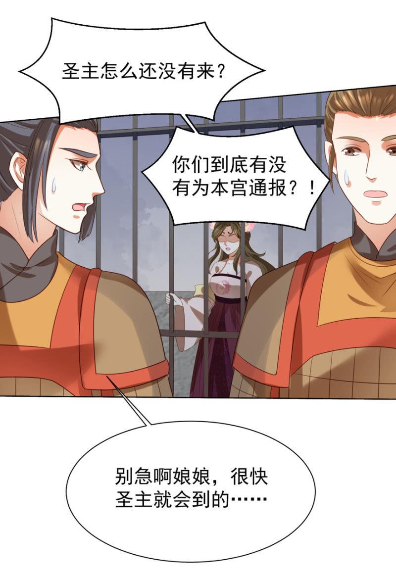 再次成亲1