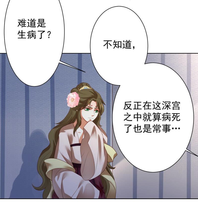 再次成亲11