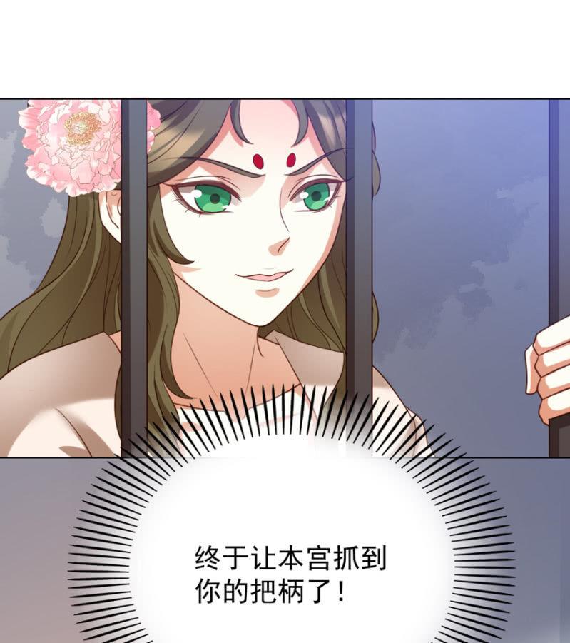 再次成亲2