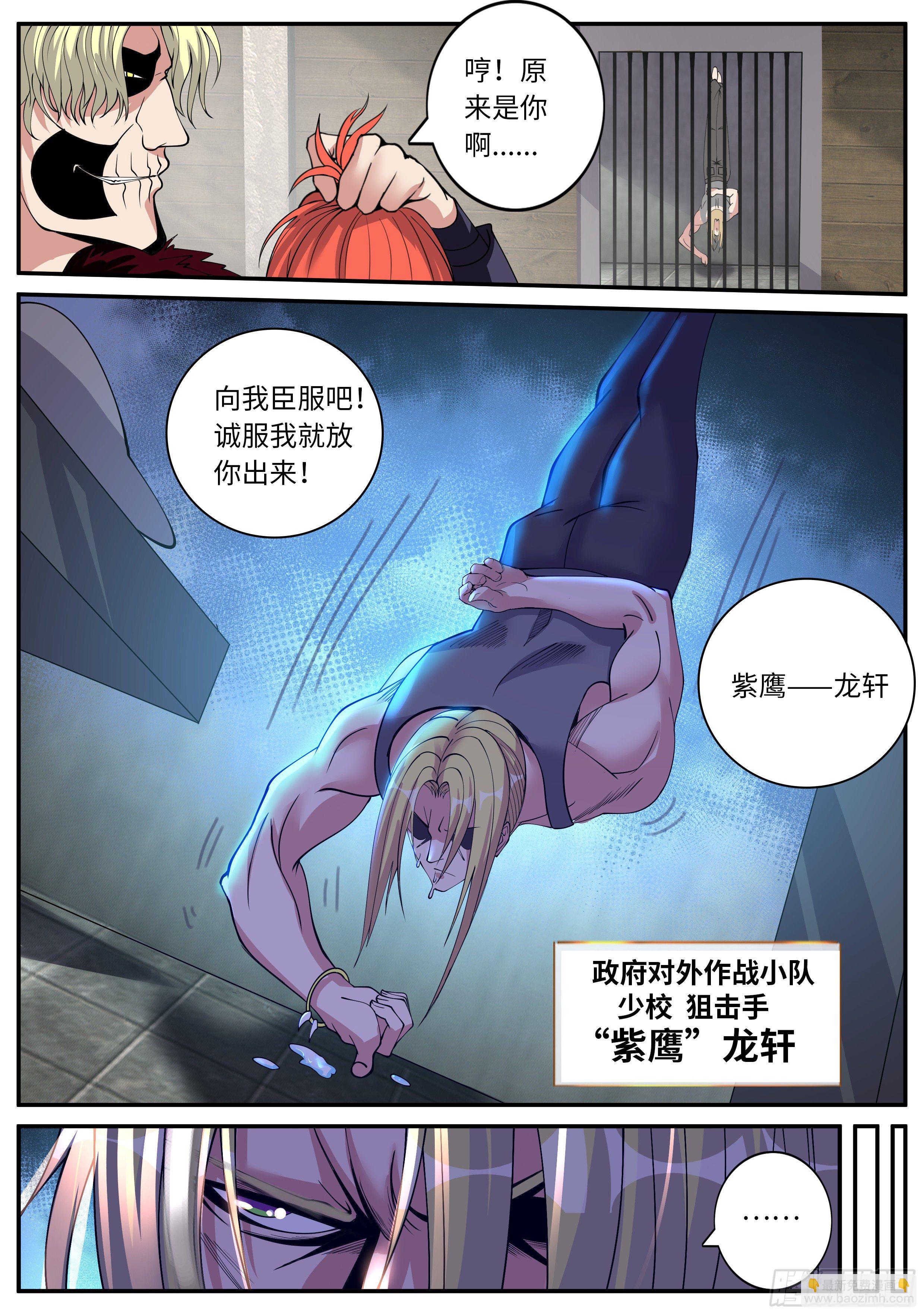 肉猪5