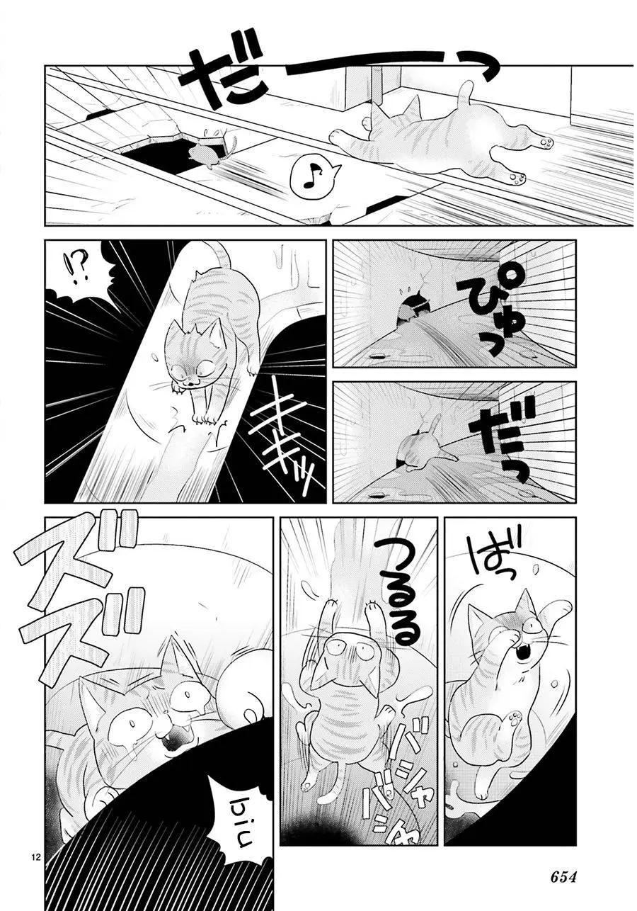 第12回11