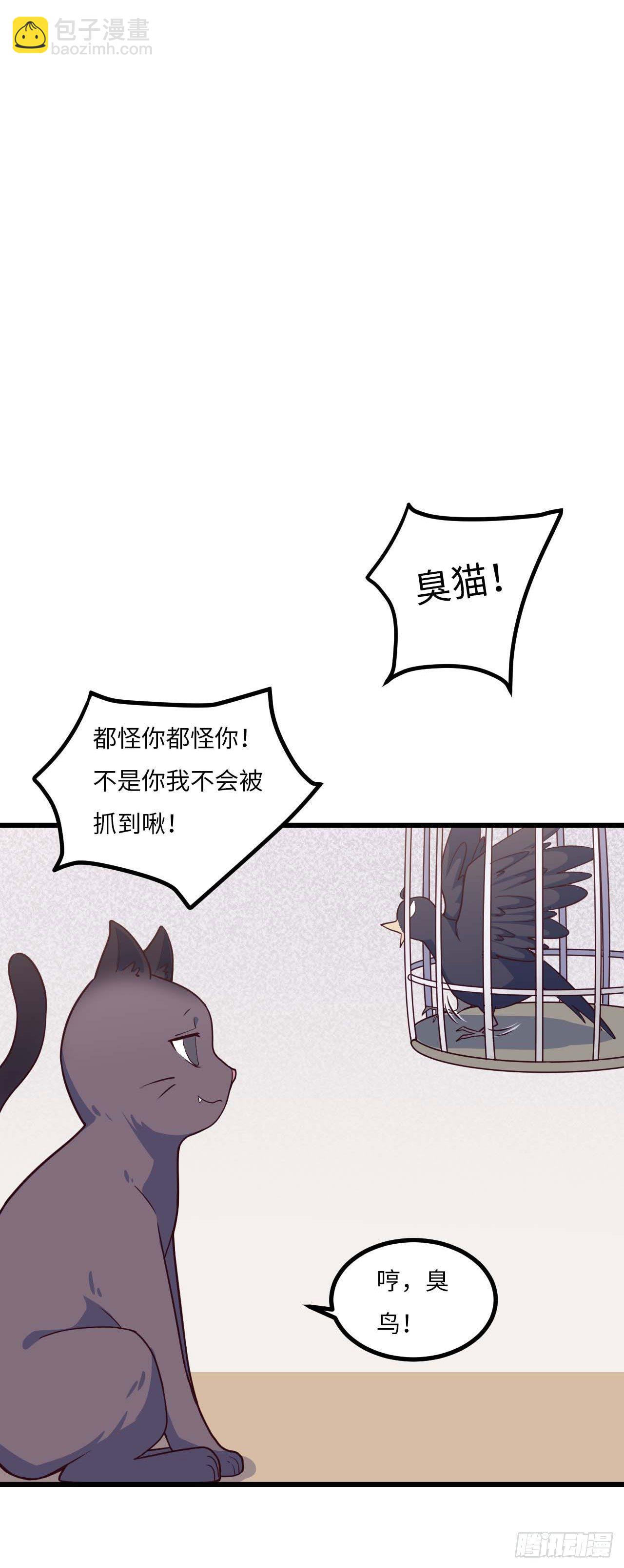 【特别篇】是乌鸫不是乌鸦210