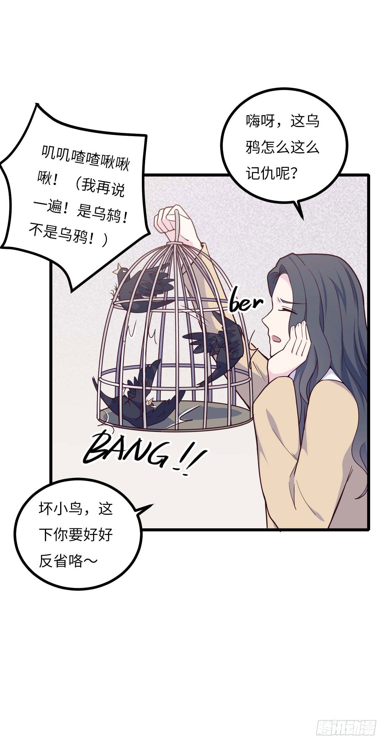 【特别篇】是乌鸫不是乌鸦211