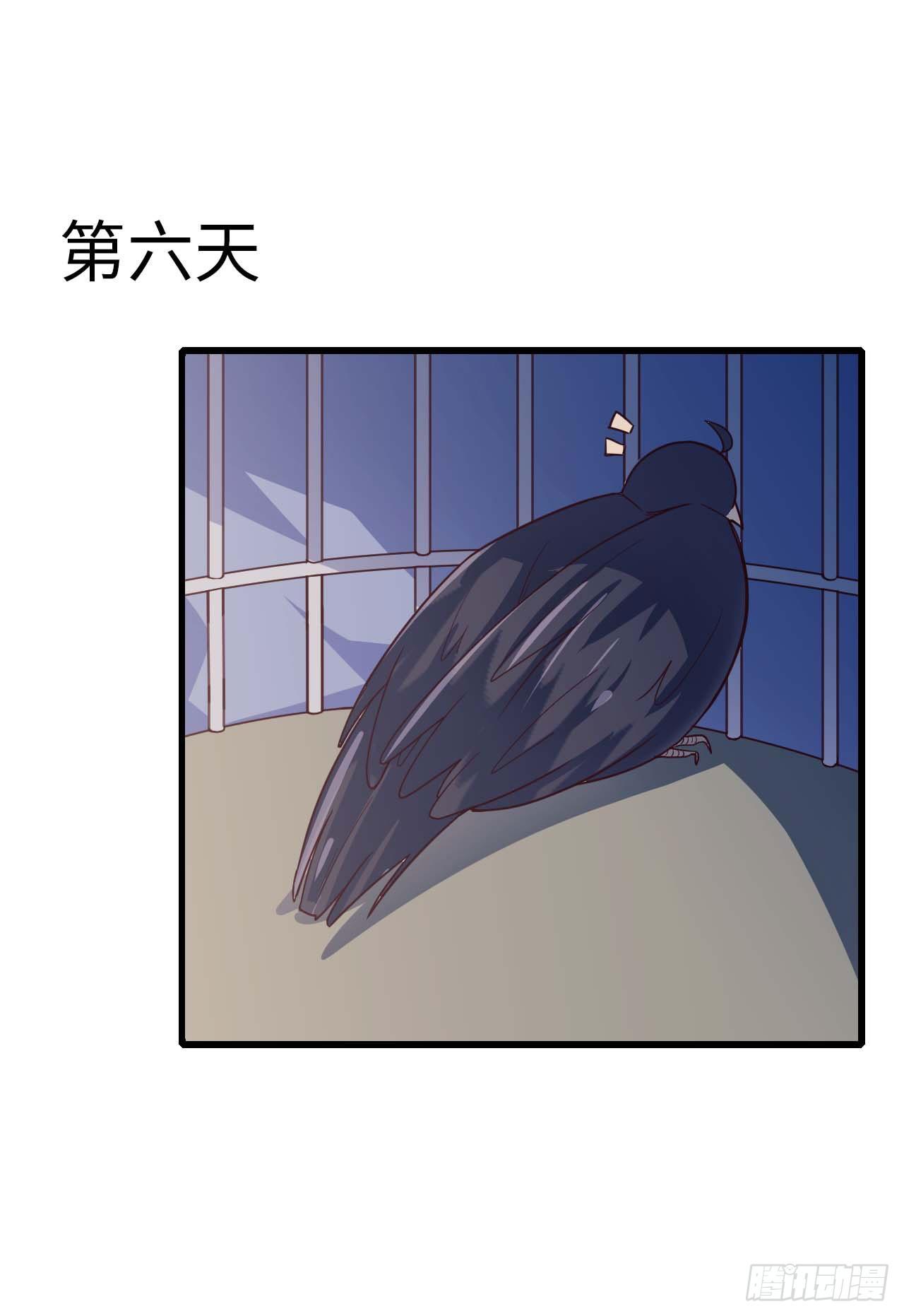 【特别篇】是乌鸫不是乌鸦213