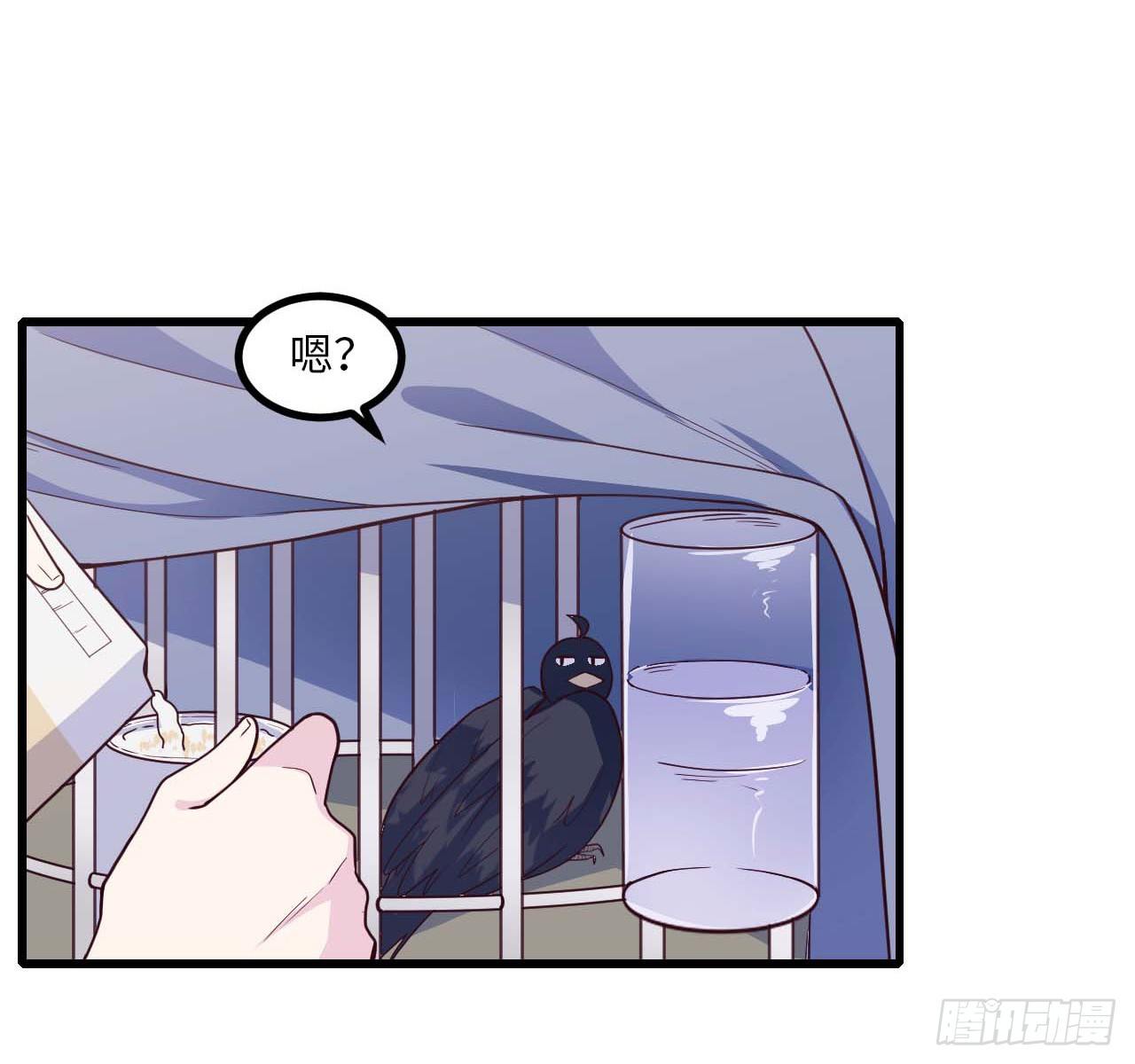 【特别篇】是乌鸫不是乌鸦214