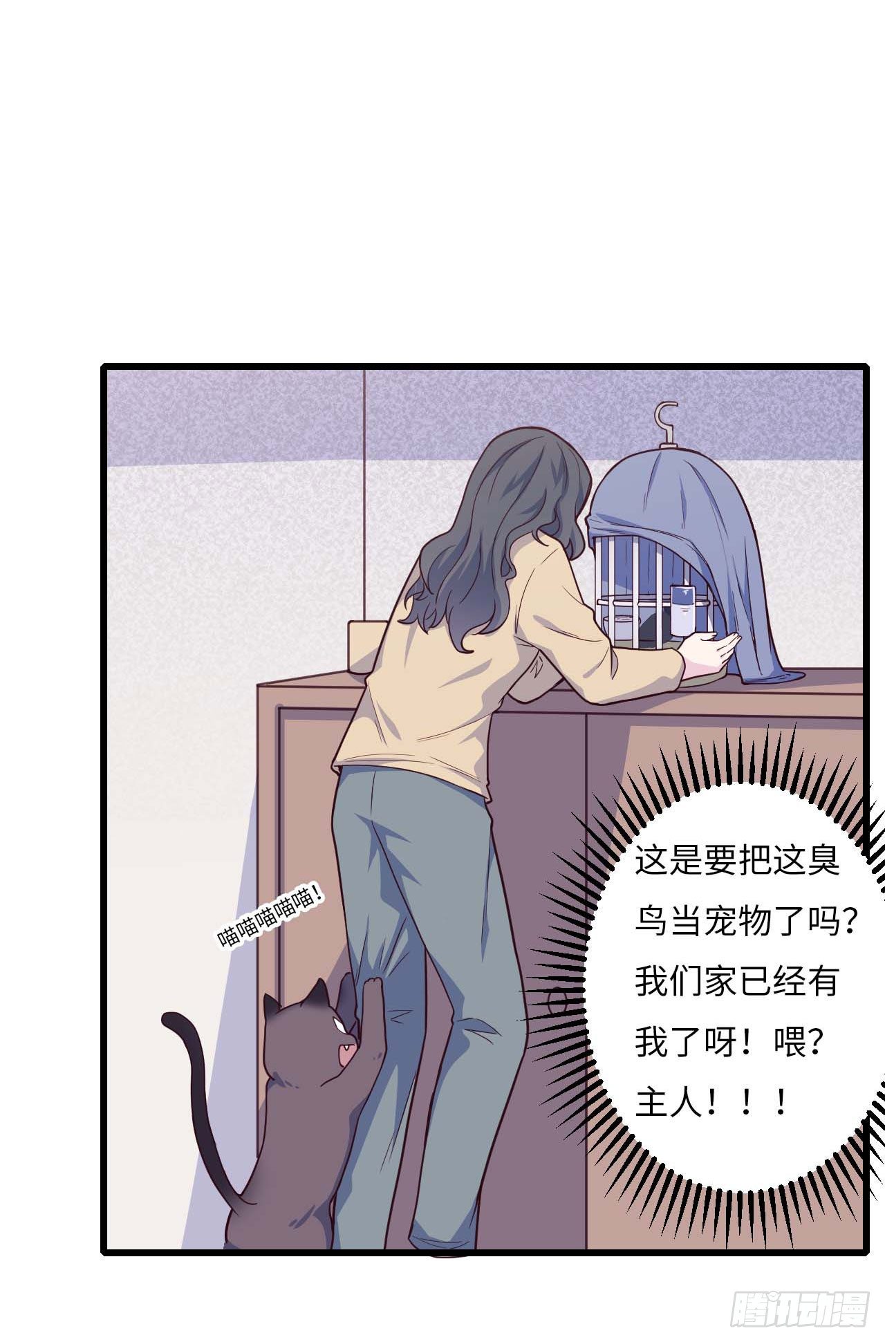 【特别篇】是乌鸫不是乌鸦215