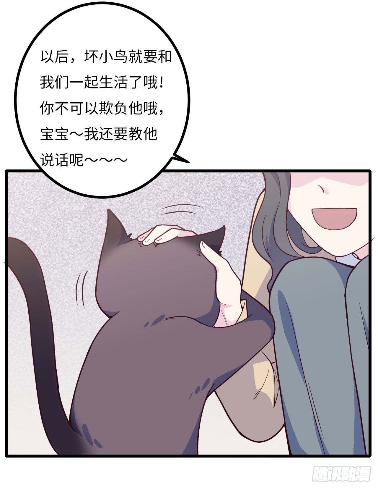 【特别篇】是乌鸫不是乌鸦216