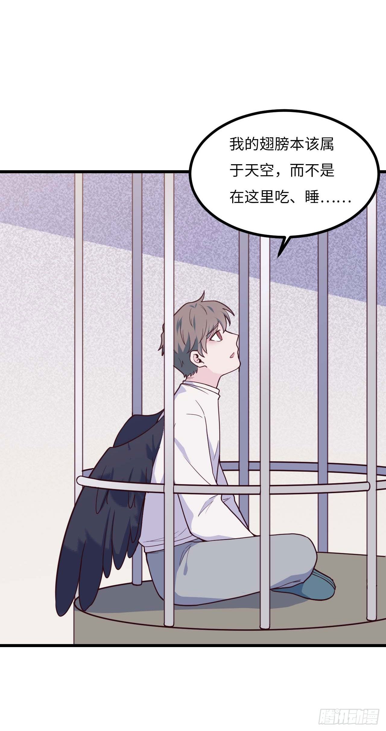 【特别篇】是乌鸫不是乌鸦219