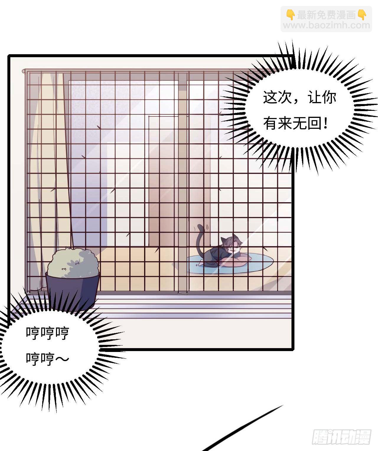 【特别篇】是乌鸫不是乌鸦22