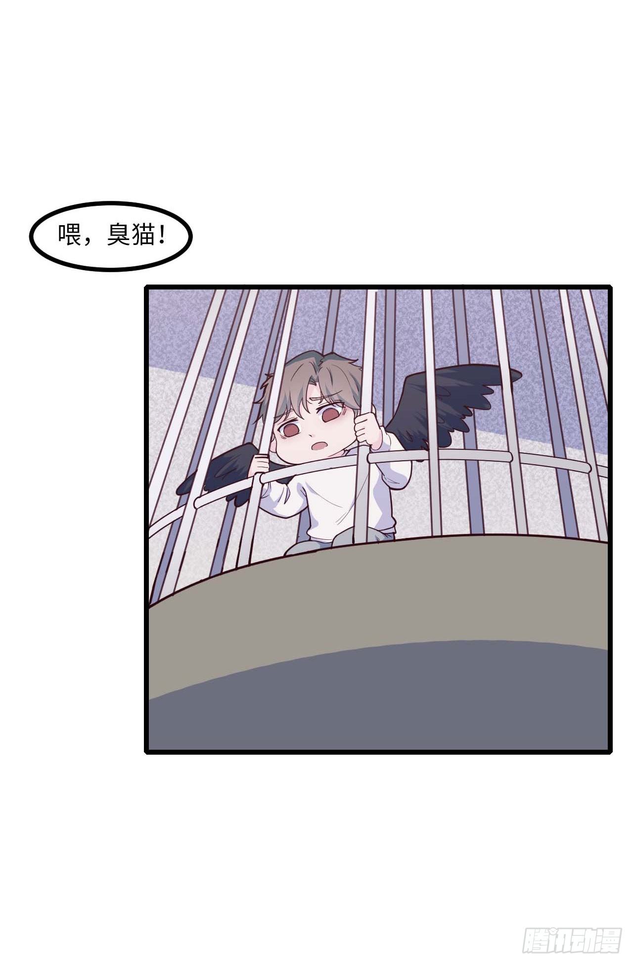 【特别篇】是乌鸫不是乌鸦222