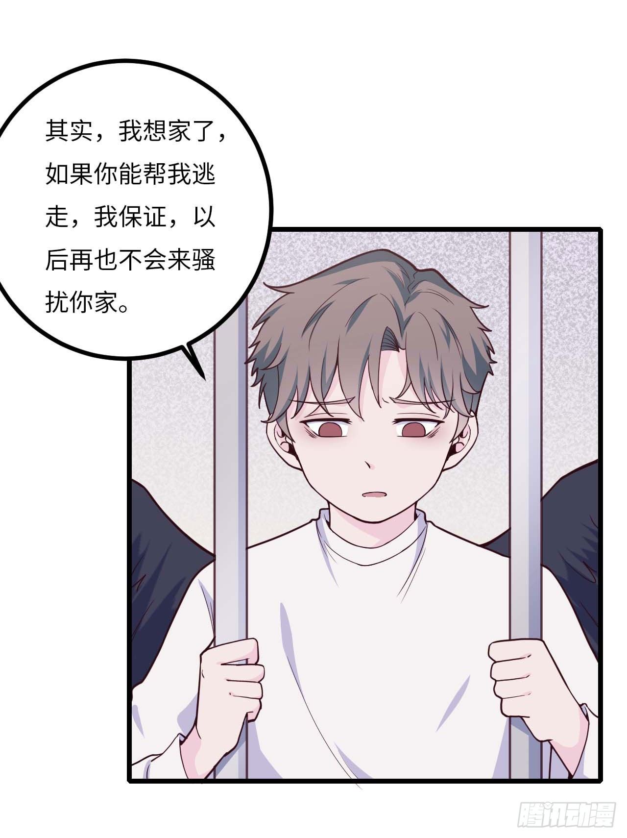 【特别篇】是乌鸫不是乌鸦224