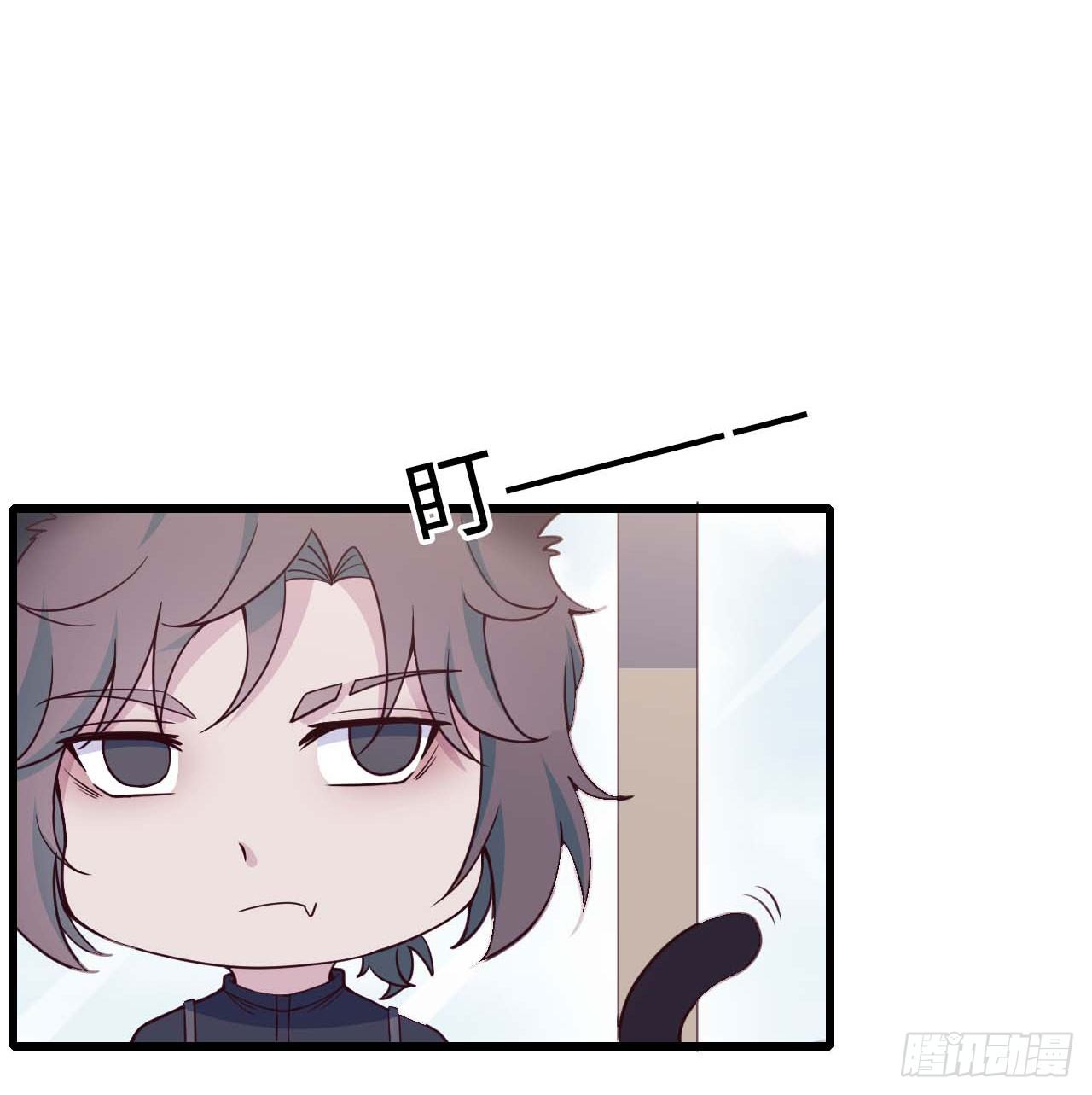 【特别篇】是乌鸫不是乌鸦227