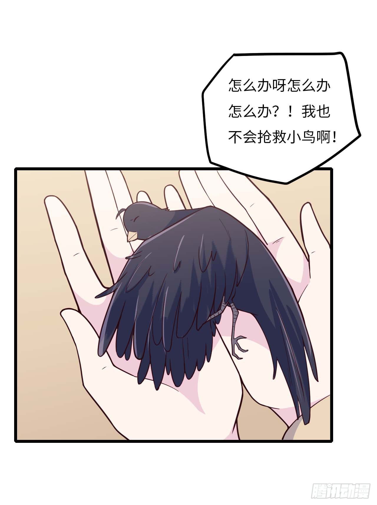 【特别篇】是乌鸫不是乌鸦238