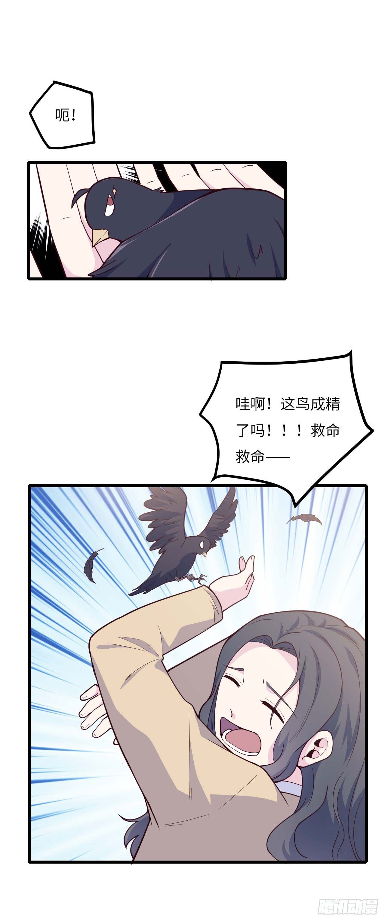 【特别篇】是乌鸫不是乌鸦239