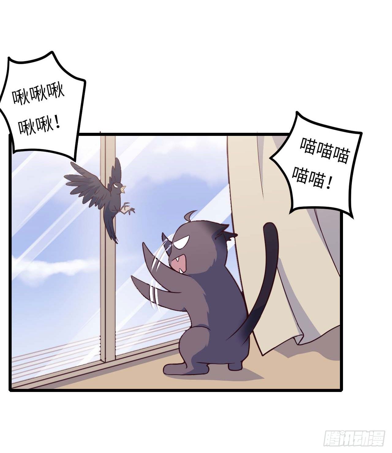 【特别篇】是乌鸫不是乌鸦241