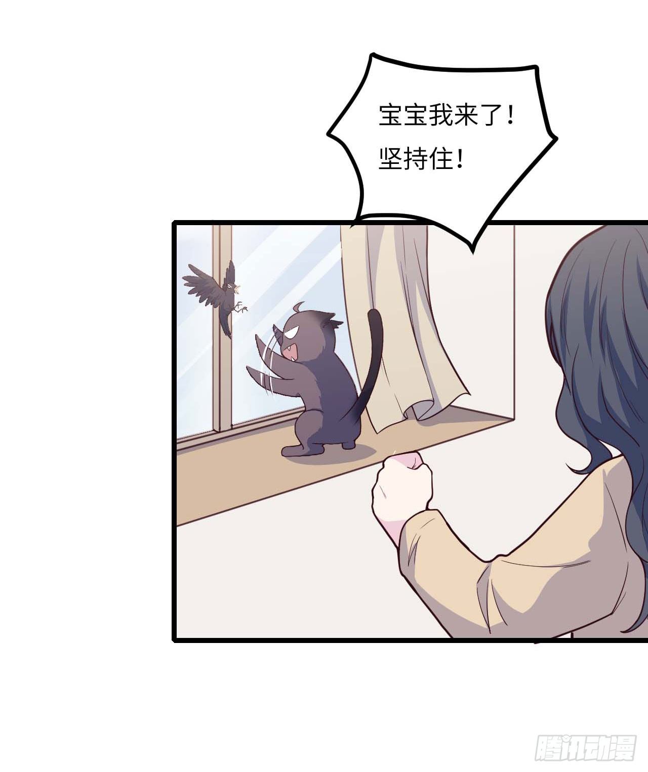 【特别篇】是乌鸫不是乌鸦242