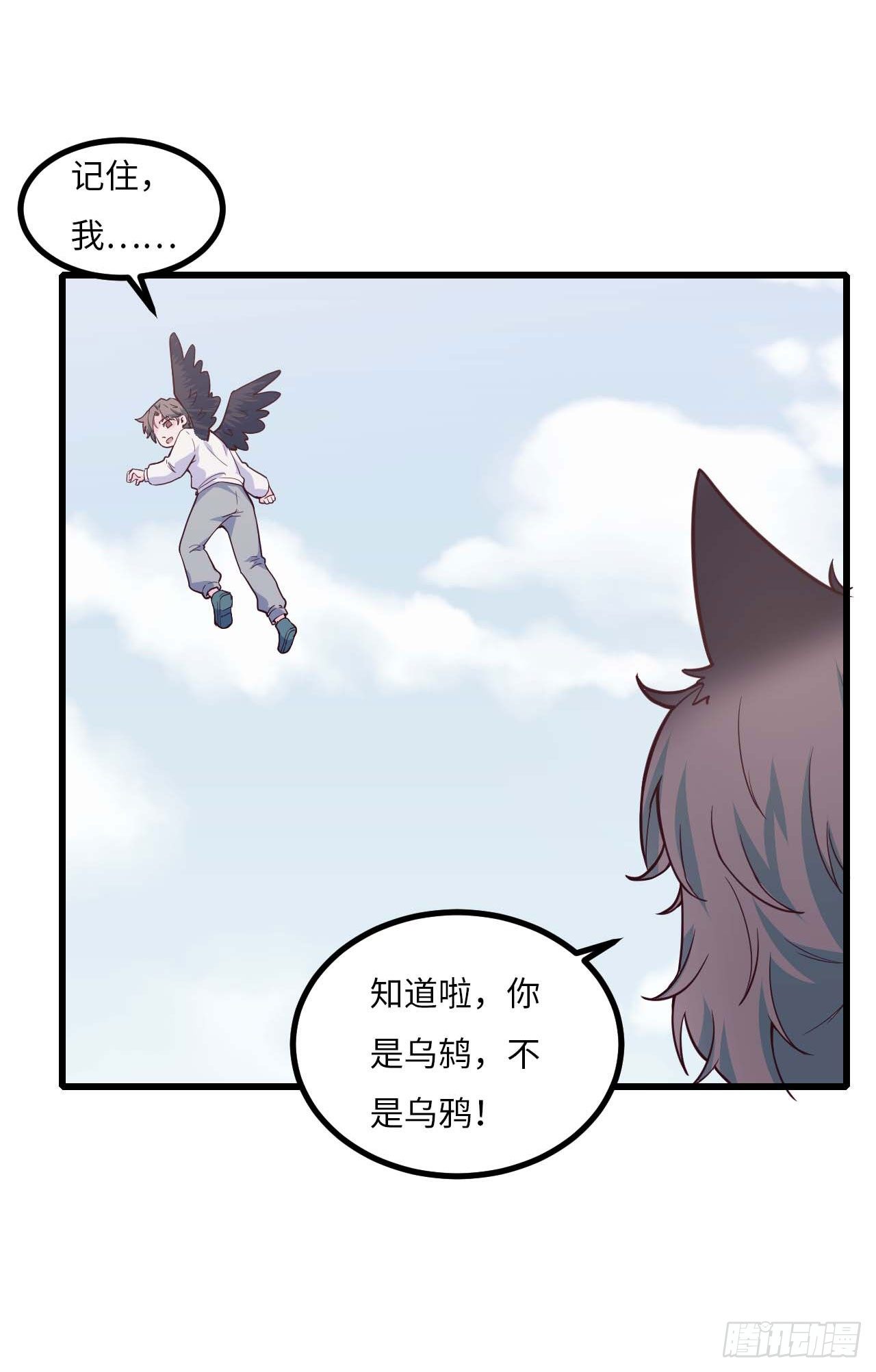 【特别篇】是乌鸫不是乌鸦244