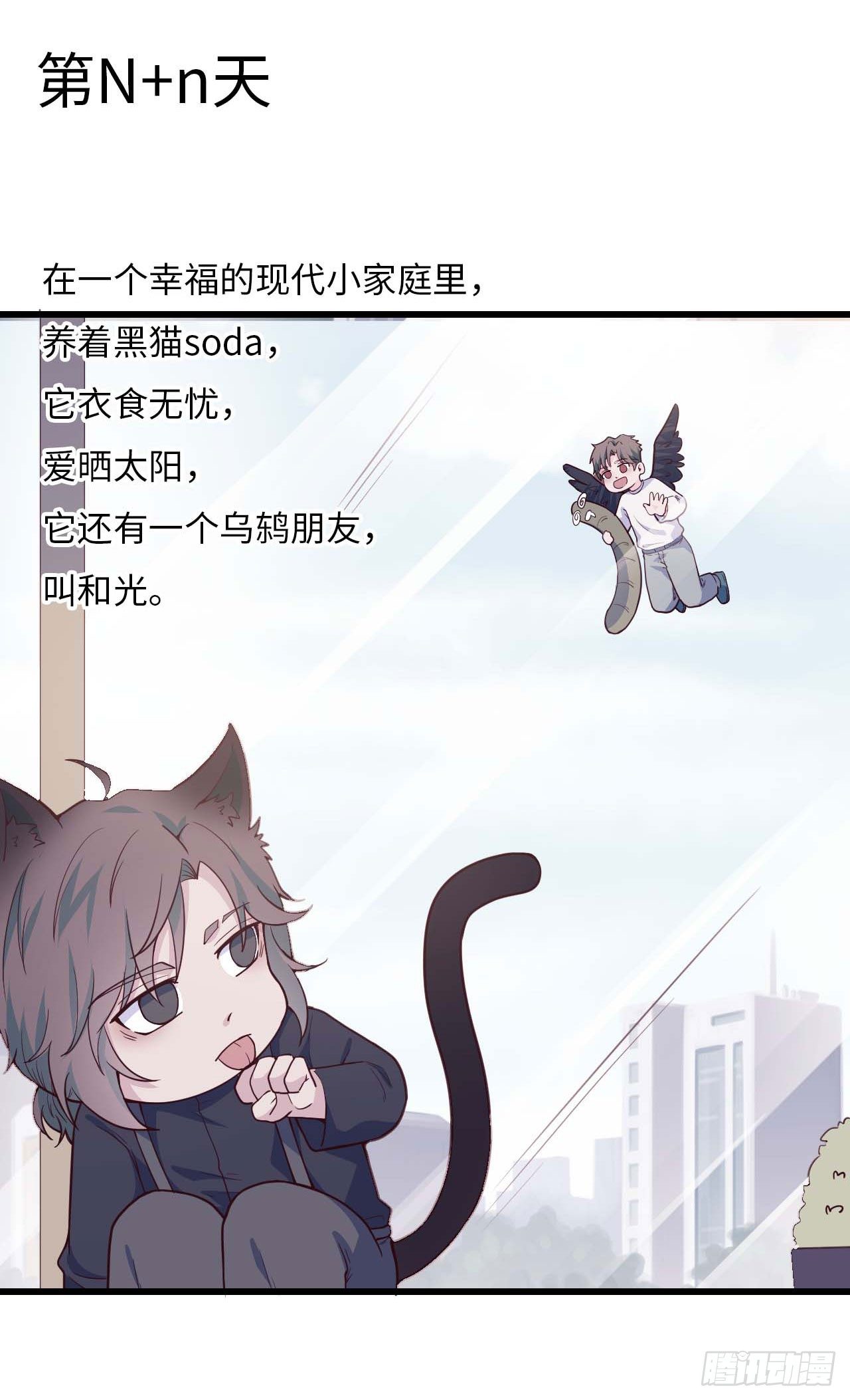 【特别篇】是乌鸫不是乌鸦245