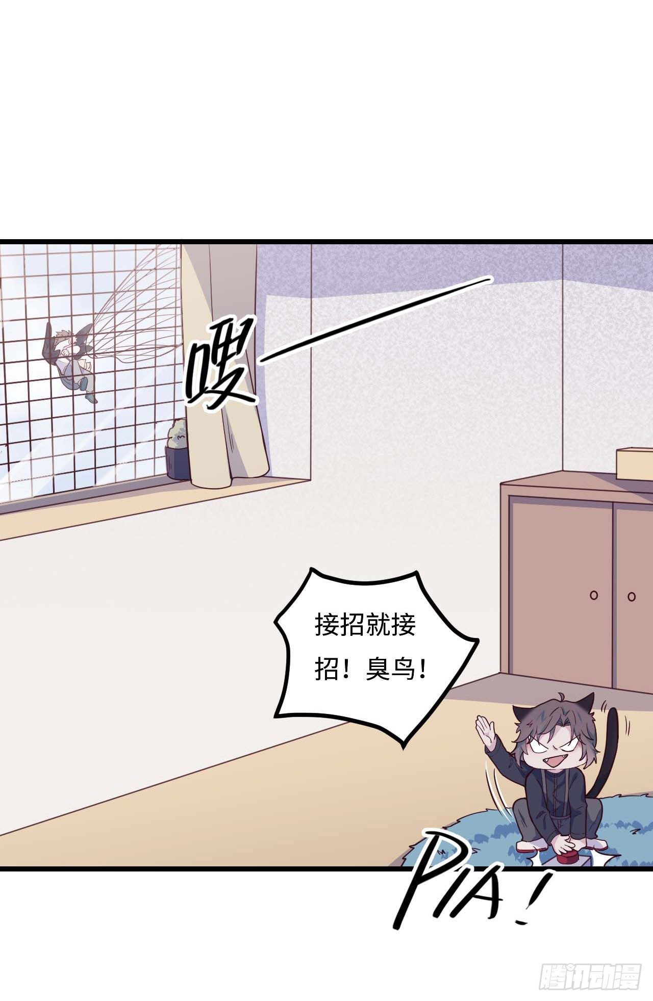 【特别篇】是乌鸫不是乌鸦26