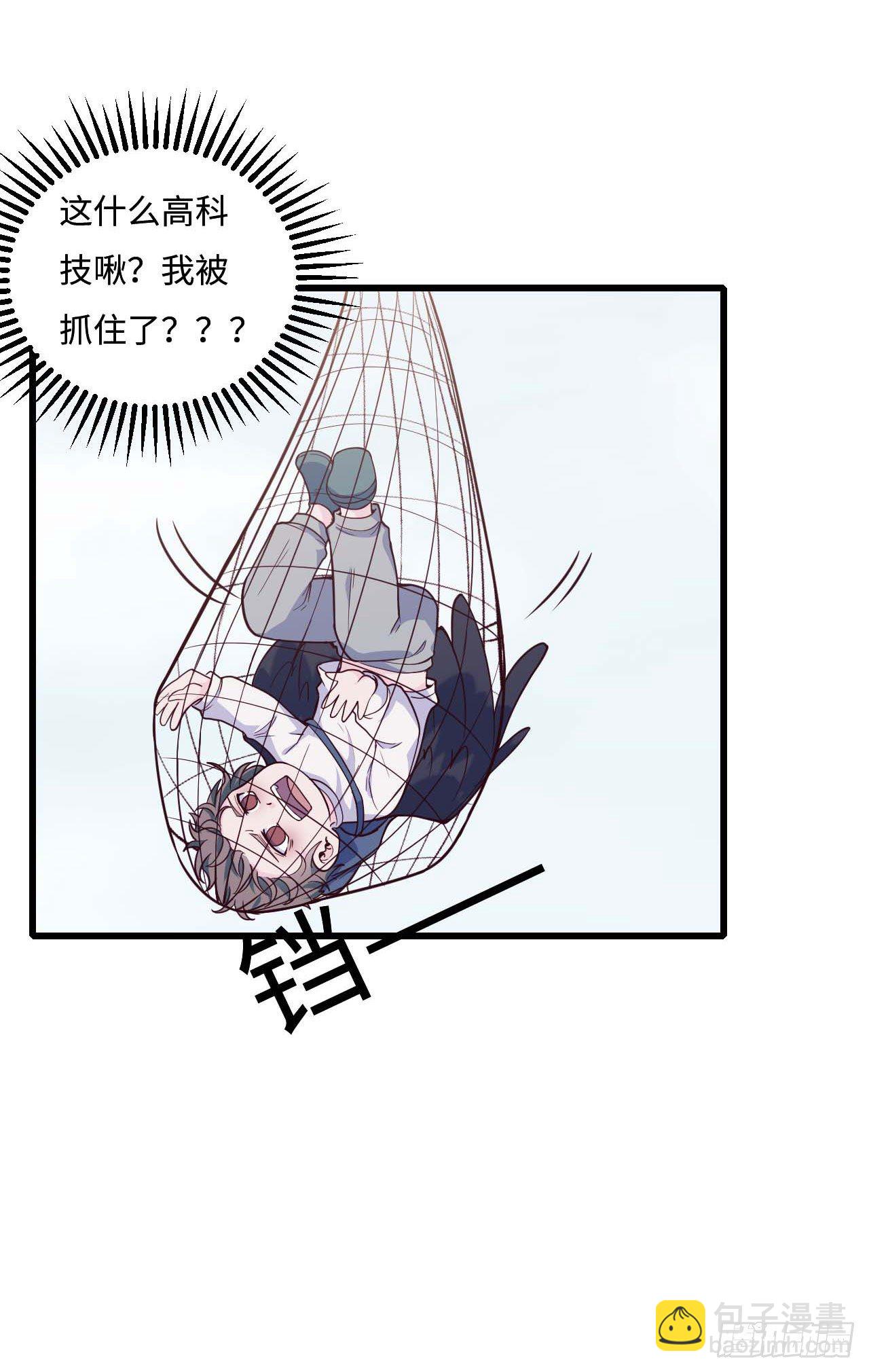 【特别篇】是乌鸫不是乌鸦27