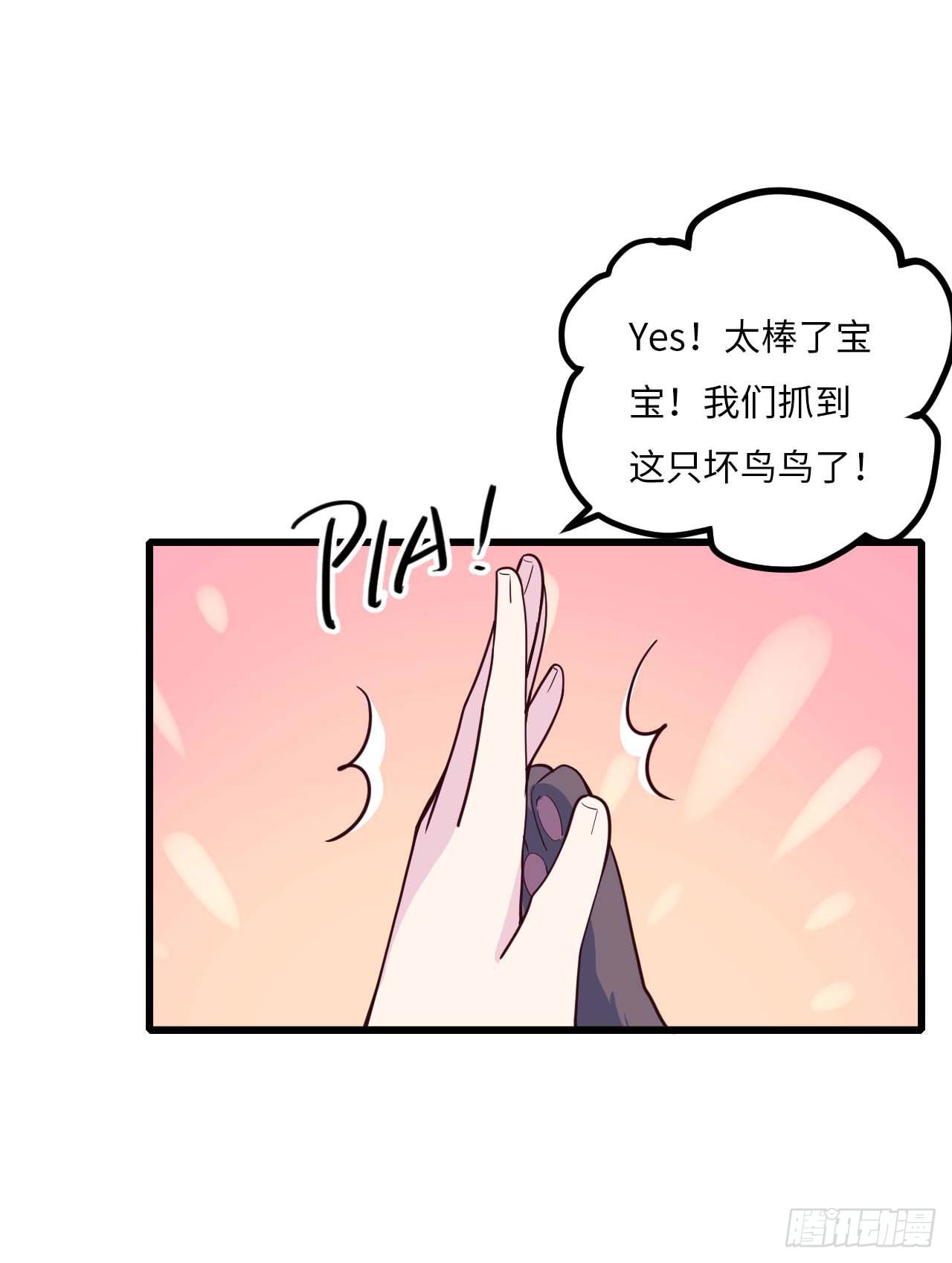 【特别篇】是乌鸫不是乌鸦28