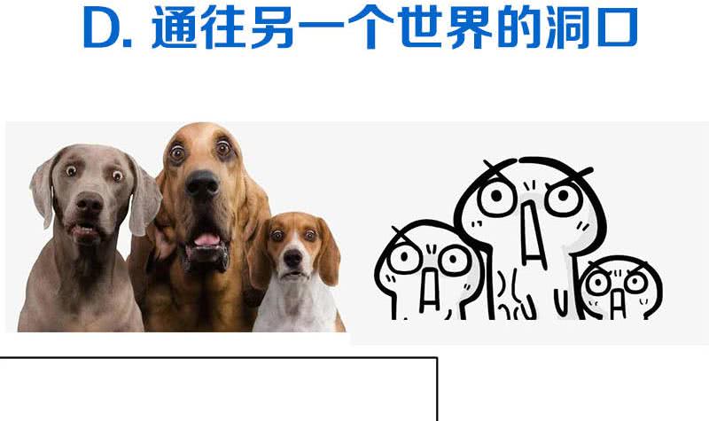 第103话 十五万的诱惑57