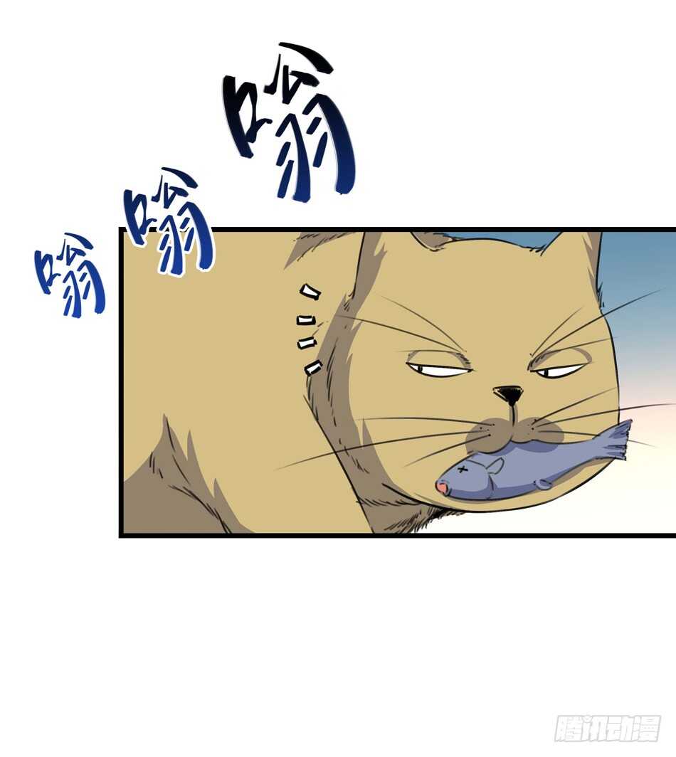 91 对决2
