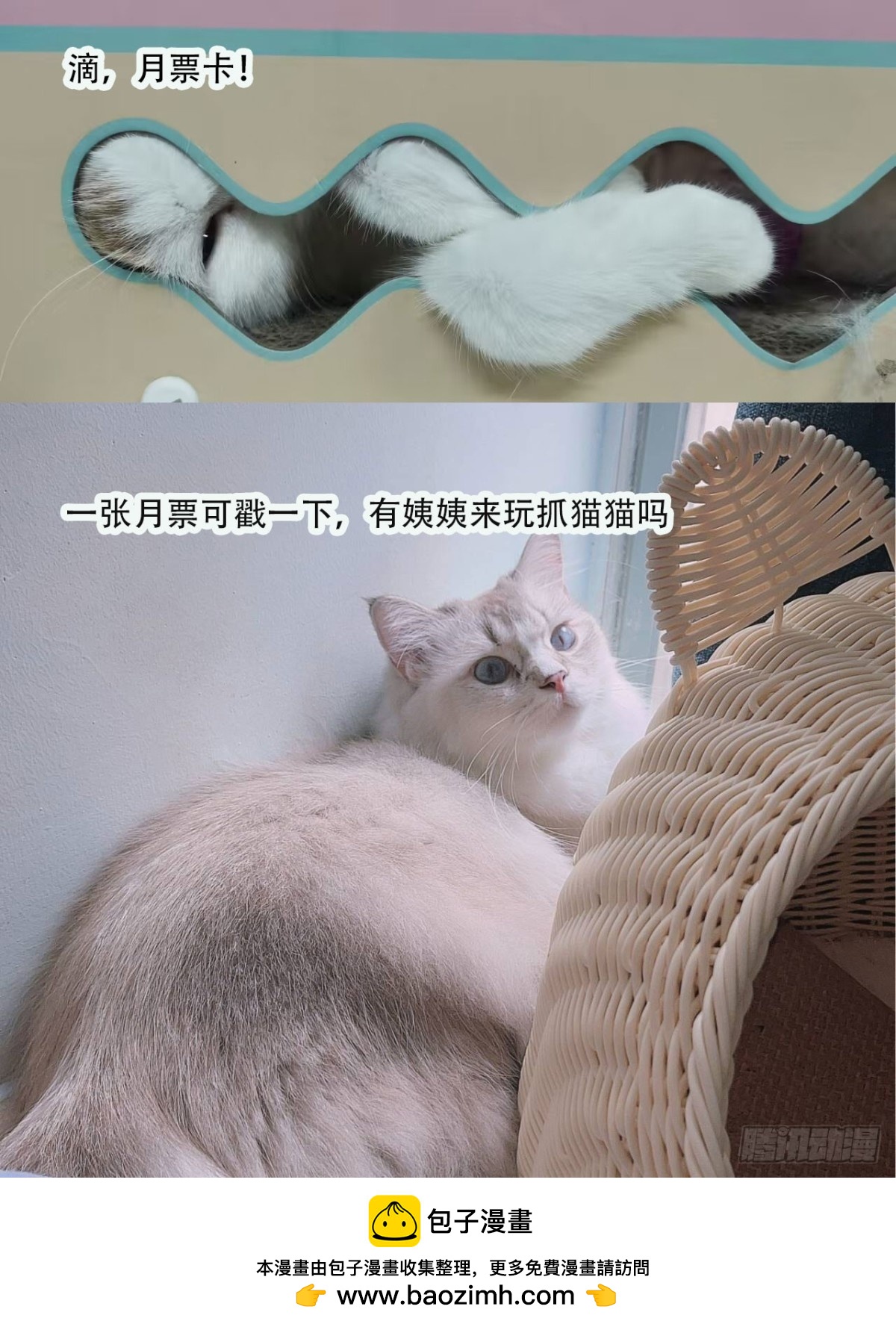 第86话 我也有条件30