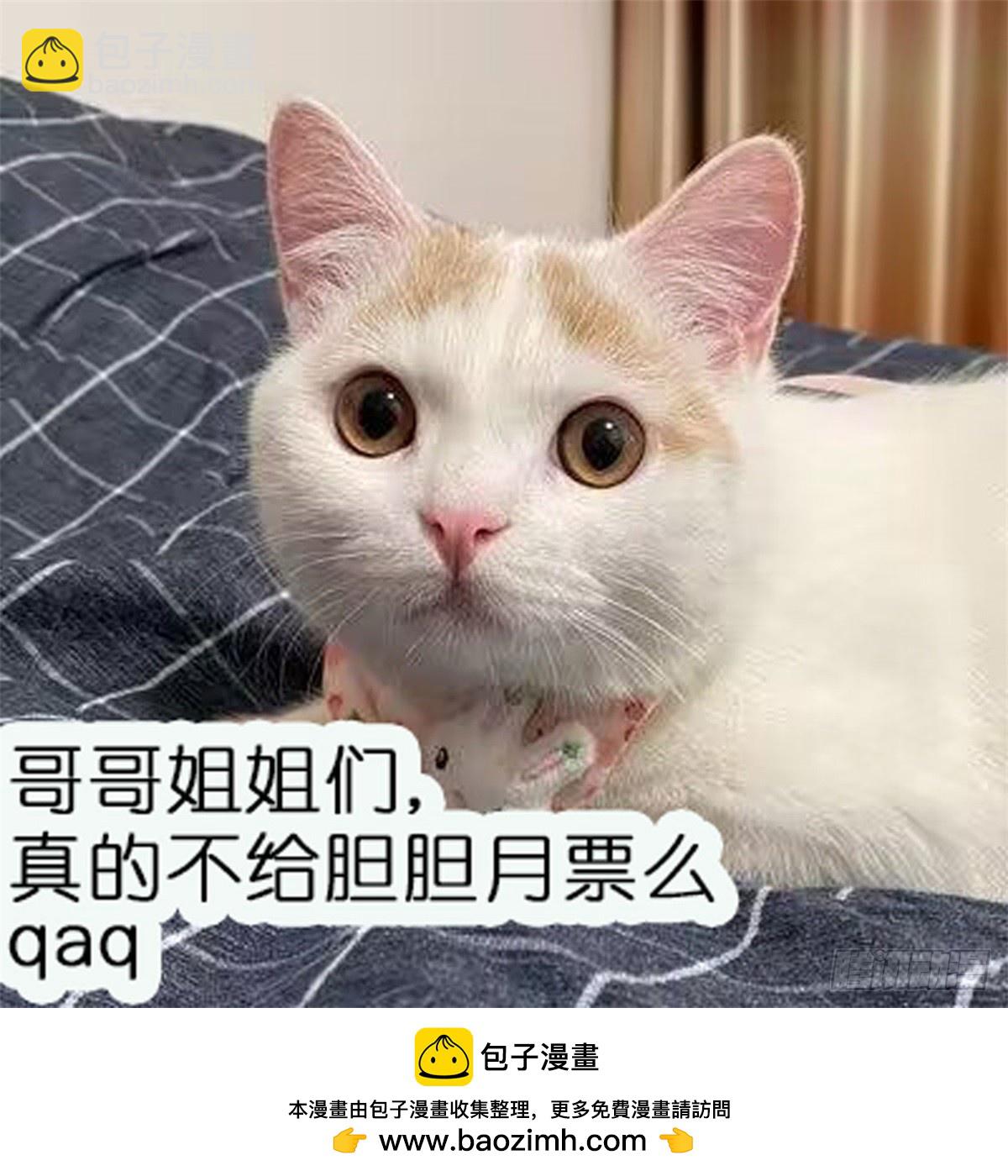 第89话 原来你早就知道？40