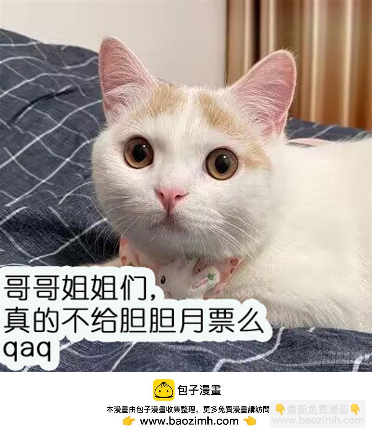第96话 我要拆穿你45
