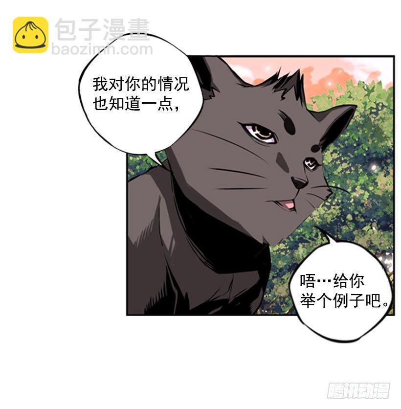 斗神13