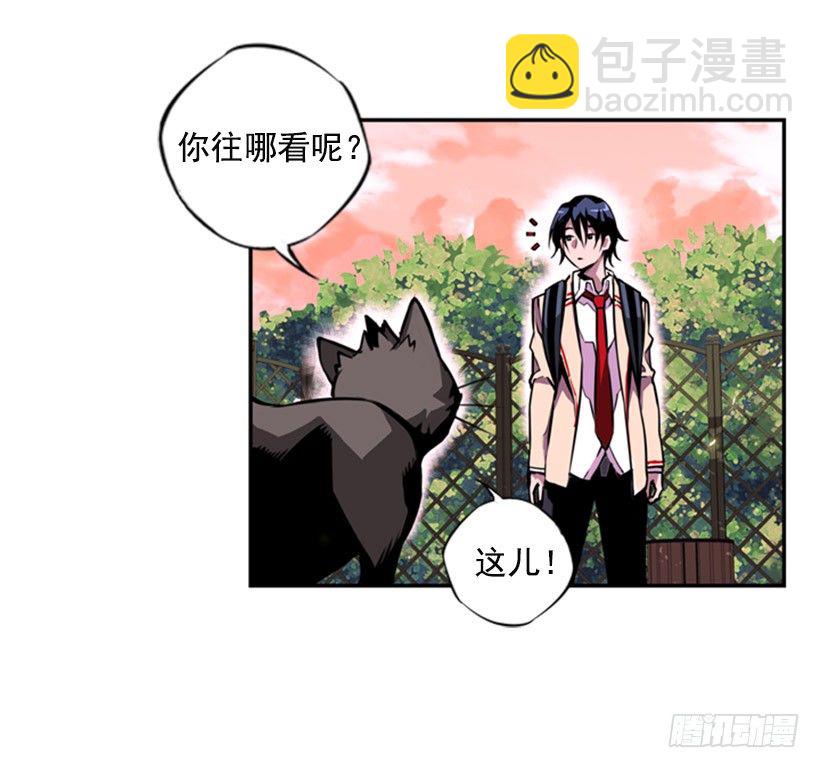 斗神5
