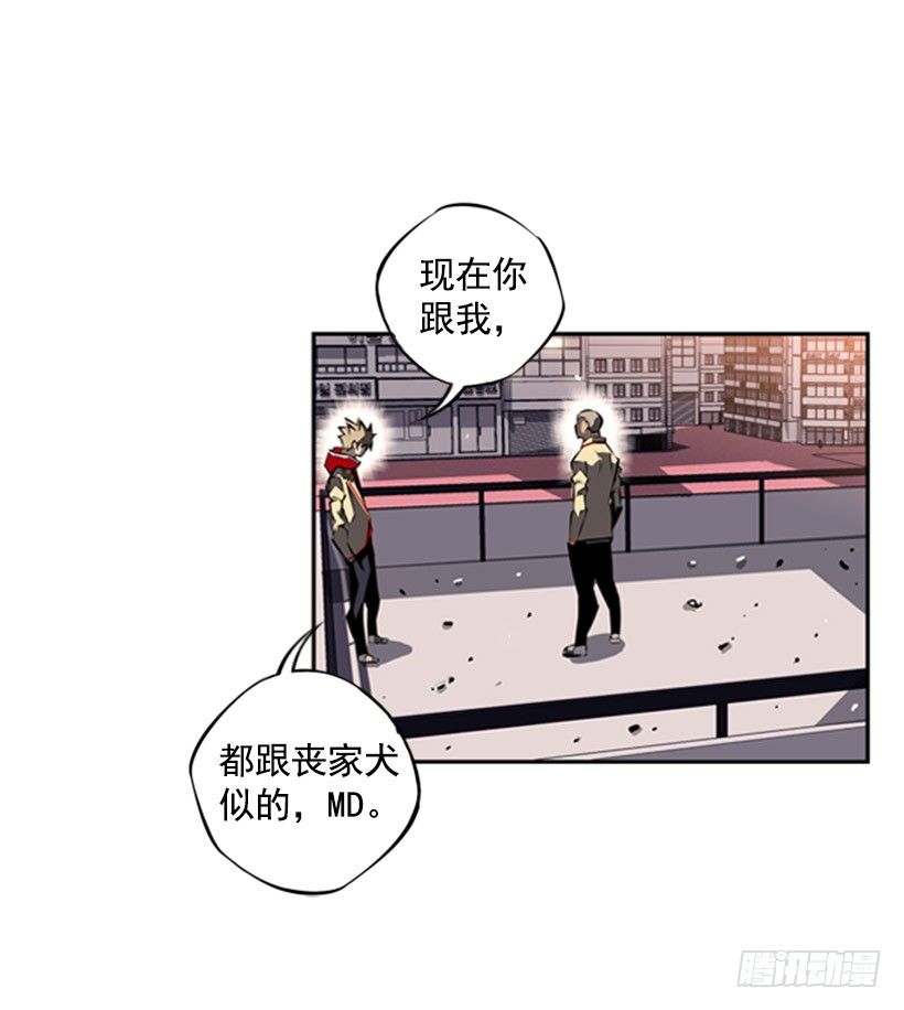 疯狗14