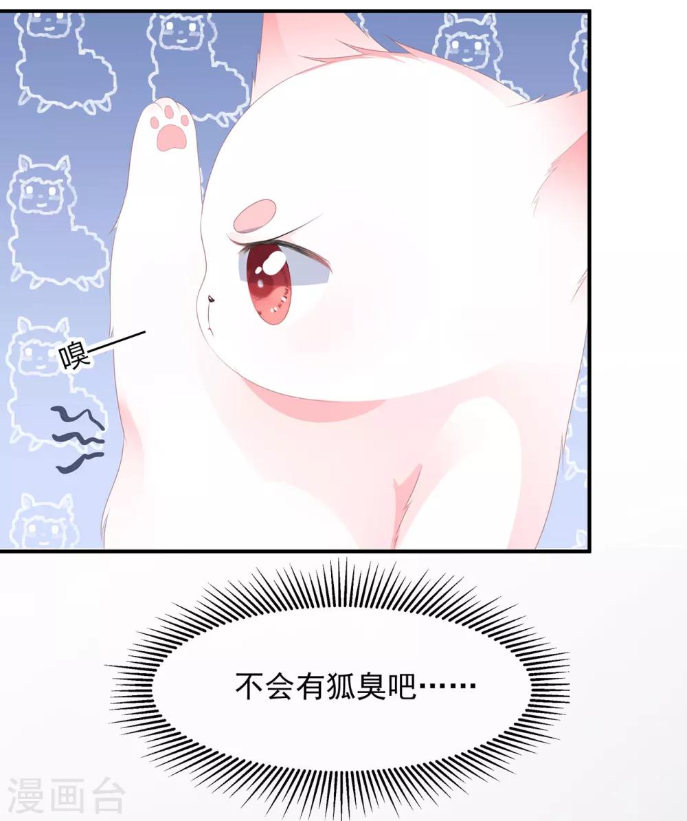 预告5