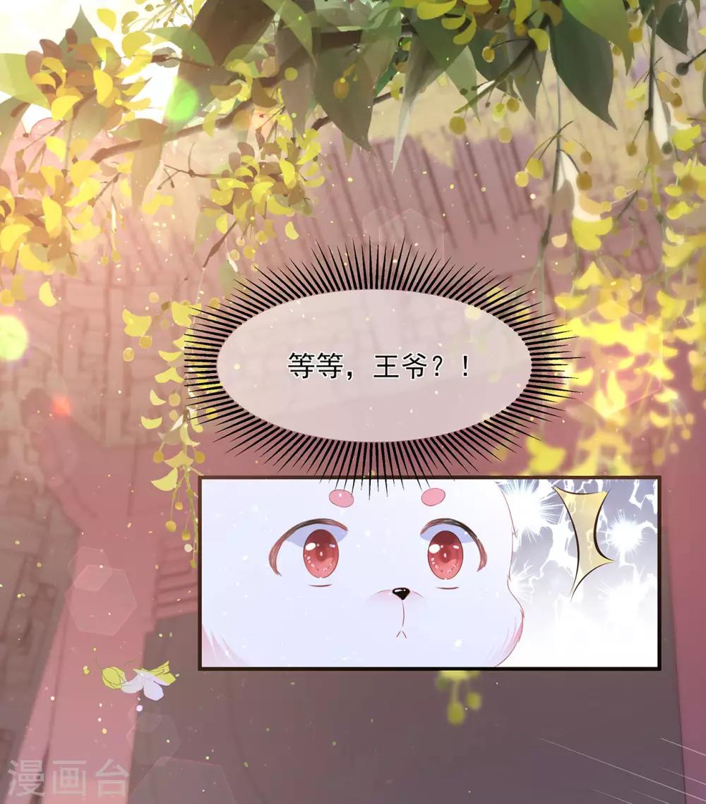 第2话 无奈成宠5