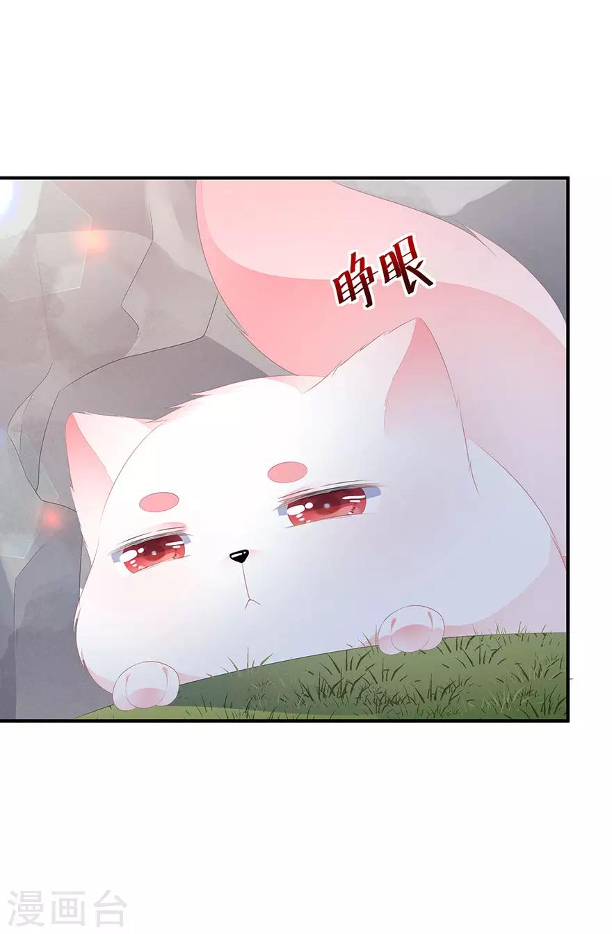 第16话 人狐相谈3