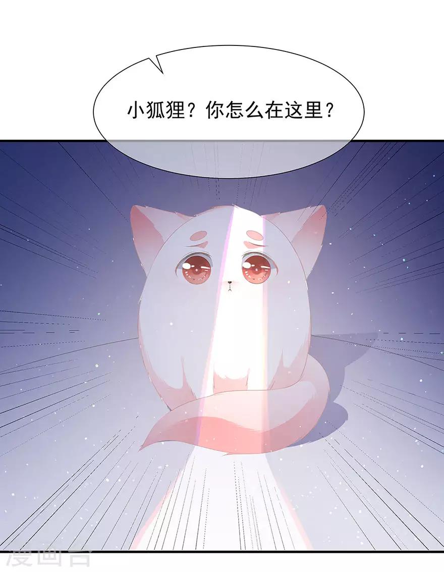 第17话 灵狐入宫17