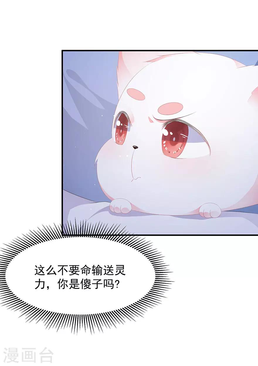 第17话 灵狐入宫3