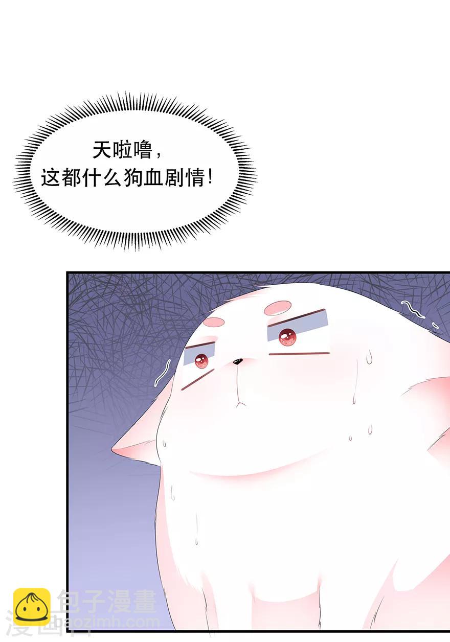 第29话 美人身世10