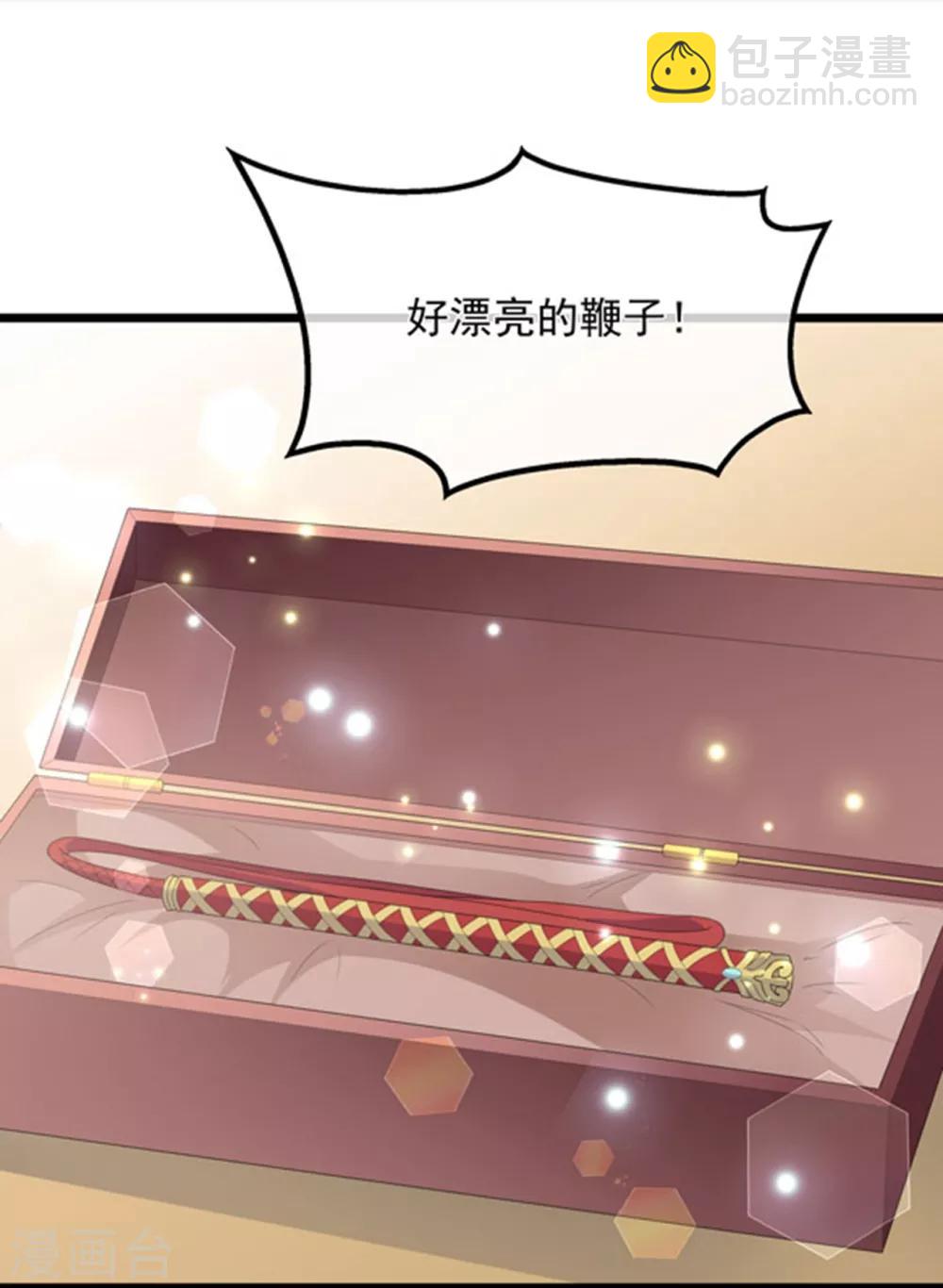第39话 宸王母妃14