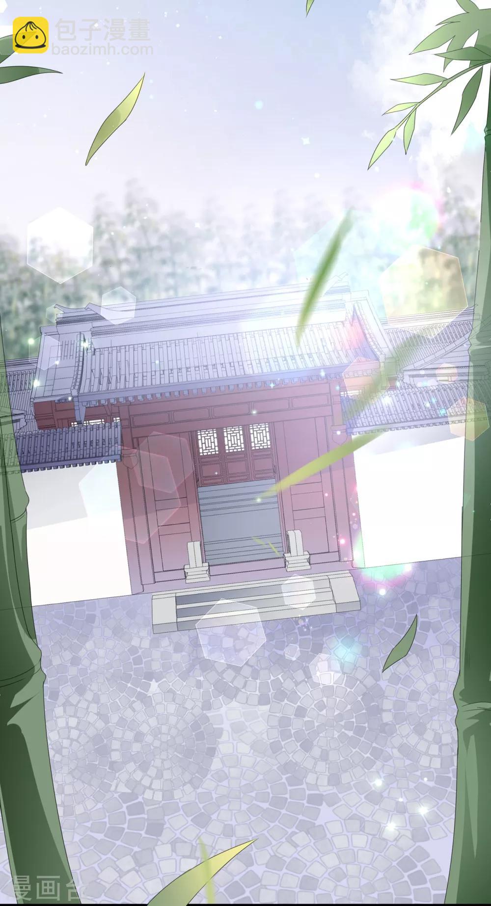 第39话 宸王母妃25