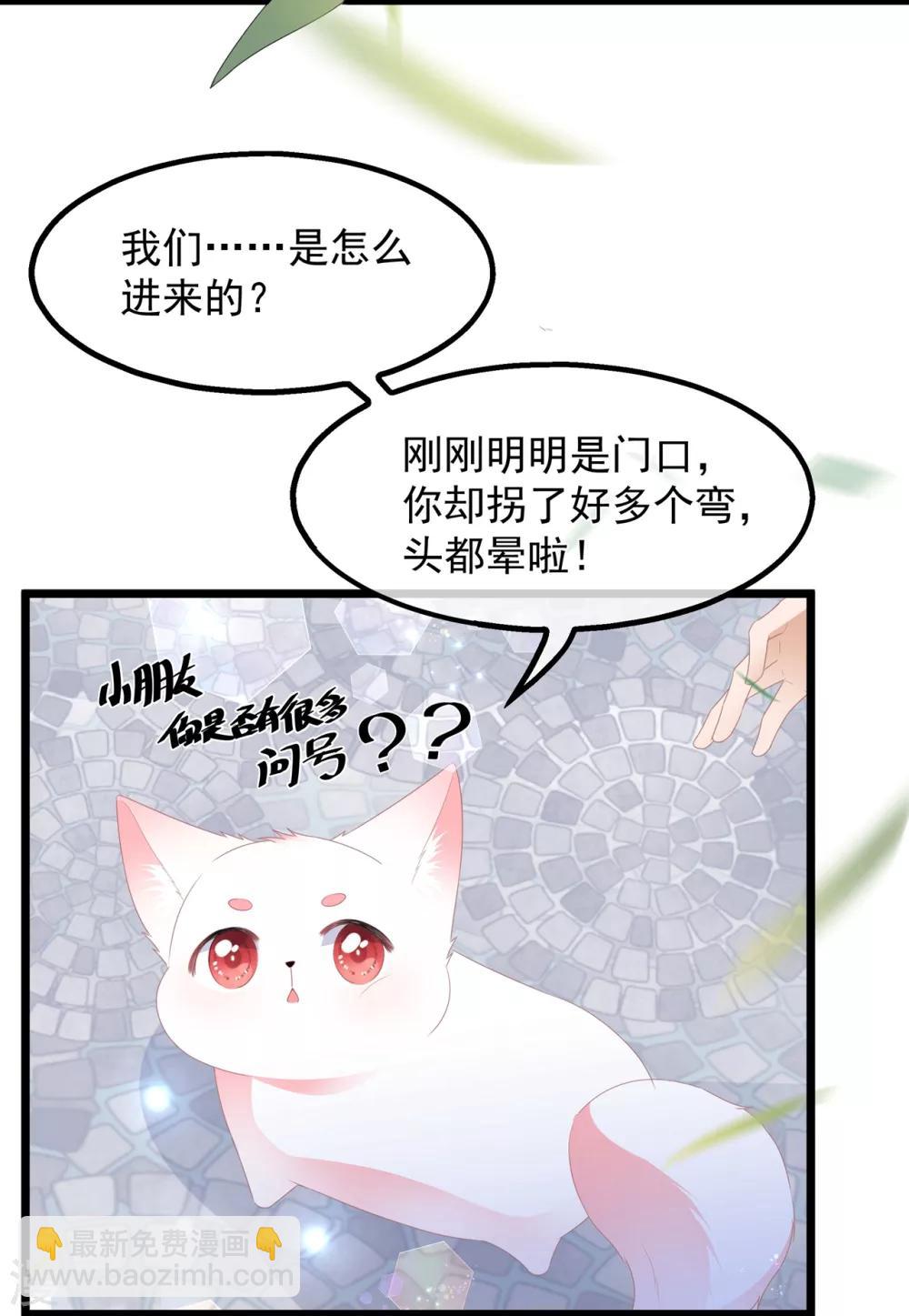 第39话 宸王母妃26