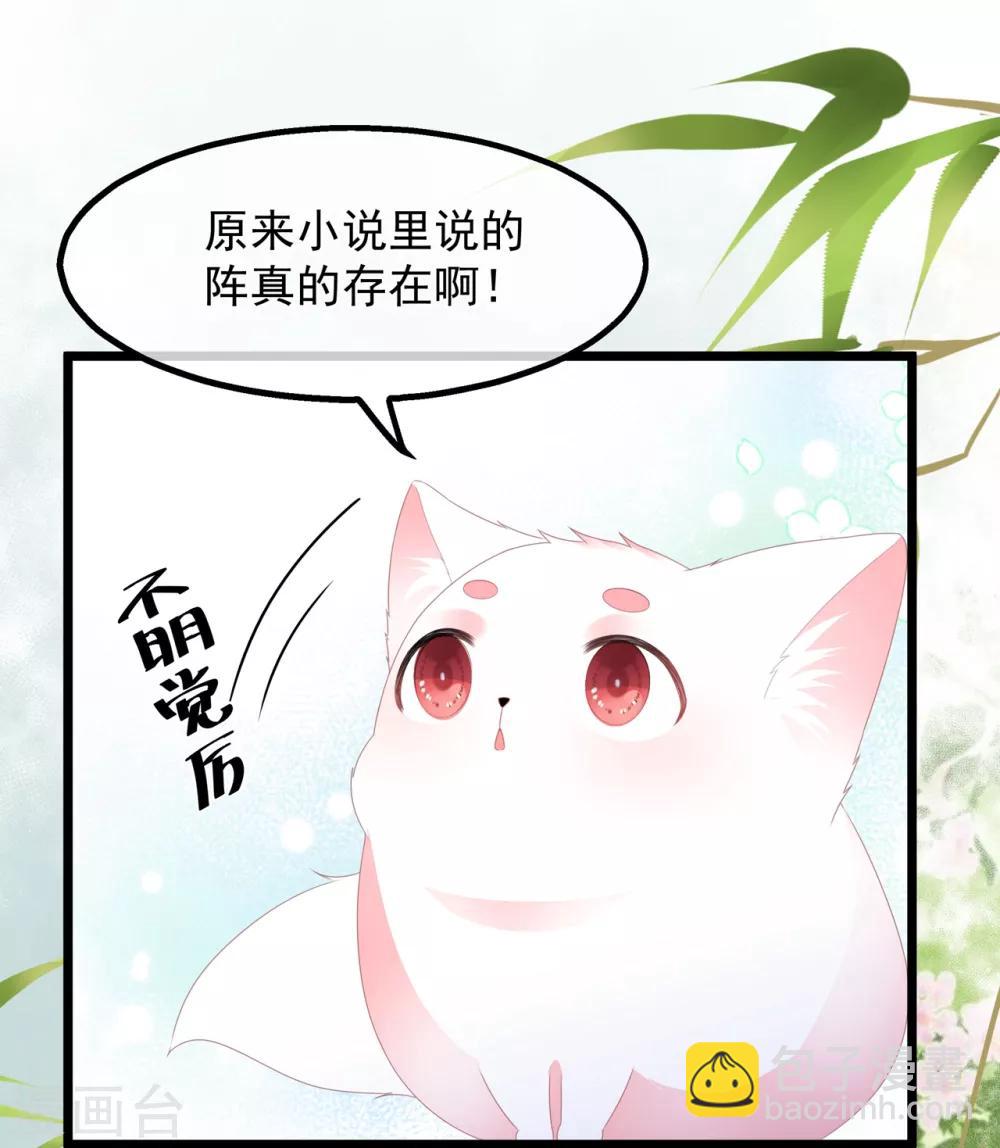 第39话 宸王母妃28