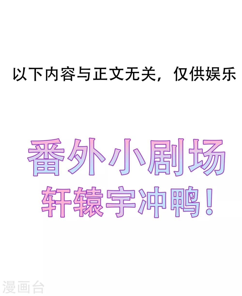 第39话 宸王母妃32
