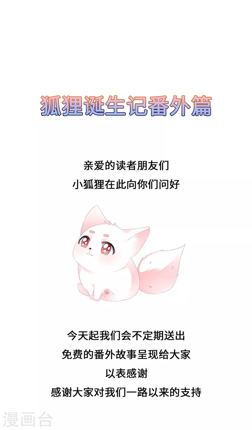 番外1 激萌狐狸诞生记0