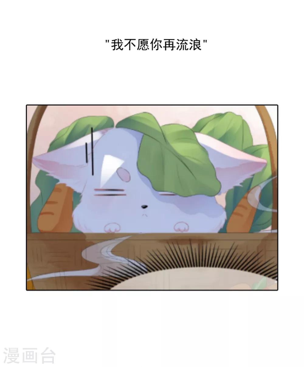 第82话 暴风雨前的宁静40